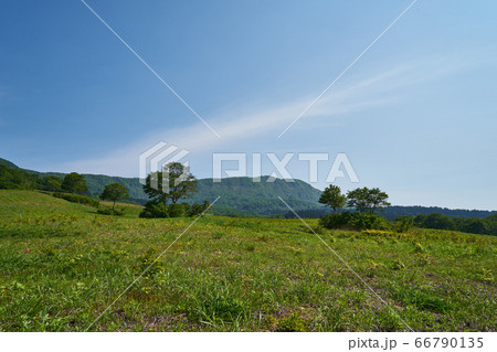 新潟県上越市 光ヶ原高原の景色 新潟県上越市 光ヶ原高原の景色 66790135