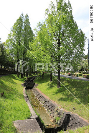 用水路 66790596