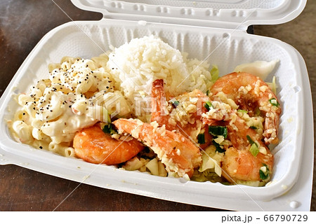 ハワイの休日 ハワイの休日 66790729