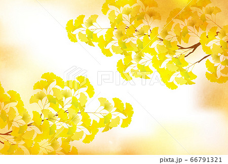 紅葉 イチョウ 秋 背景 のイラスト素材