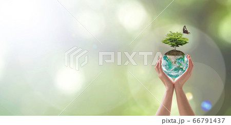 World environment day with tree planting and green planet earth on volunteering protection hands for go green and saving ecology, eco-friendly concept. Element of the image furnished by NASA World environment day with tree planting and green planet earth on volunteering protection hands for go green and saving ecology, eco-friendly concept. Element of the image furnished by NASA 66791437