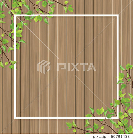 新緑の葉っぱのフレーム 木目 白い枠のイラスト素材