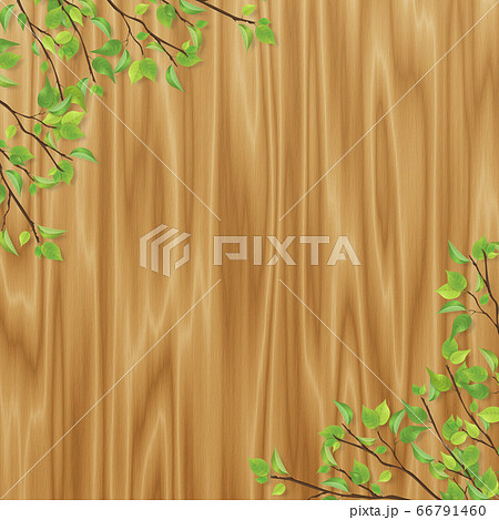 新緑の葉っぱのフレーム 木目のイラスト素材