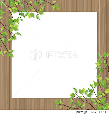 新緑の葉っぱのフレーム 木目のイラスト素材