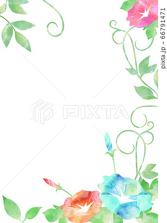 朝顔と蔓草 水彩 縦フレームのイラスト素材