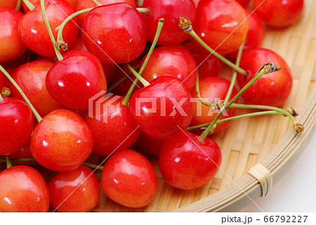 ザルに盛られた さくらんぼ b ザルに盛られた さくらんぼ b 66792227