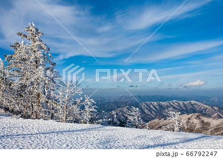 風景 木 空 66792247