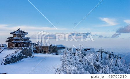風景 木 空 66792250