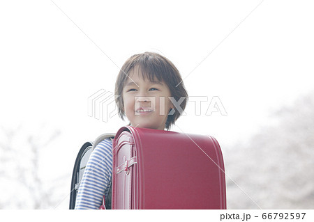 ランドセルを背負う男の子 66792597