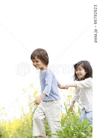 菜の花畑を走る子供の写真素材