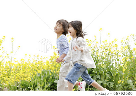 菜の花畑を走る子供 66792630