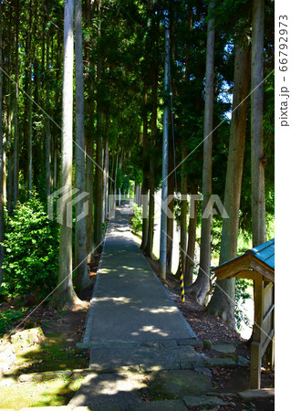 山の寺寺院群 常通寺 参道 七尾市 山の寺寺院群 常通寺 参道 七尾市 66792973