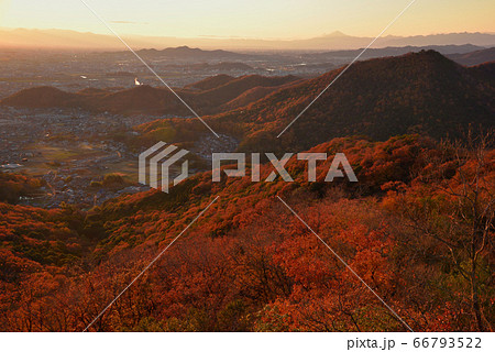 夕暮れの大小山から見た夕焼色に染まる紅葉の山と関東平野の夜景と遠く浅間山 66793522