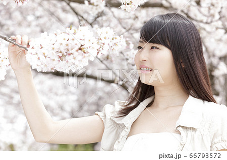 桜と女性 66793572