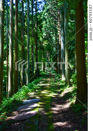 山の寺寺院群 瞑想の道 七尾市 山の寺寺院群 瞑想の道 七尾市 66793587