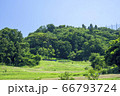 新緑の風景 66793724