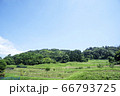 新緑の風景 66793725