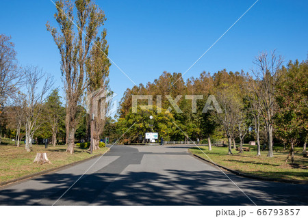 水元公園　紅葉 66793857