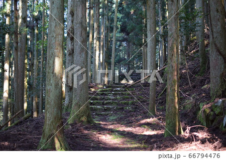 求菩提山の山道 求菩提山の山道 66794476