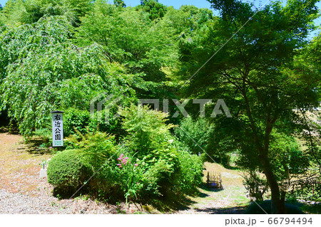山の寺寺院群　本行寺　右近公園　七尾市 66794494
