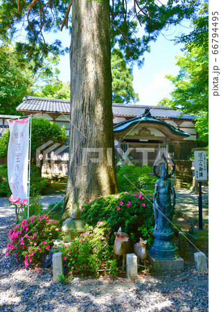 山の寺寺院群　本行寺　高山右近ゆかりの寺　七尾市 66794495