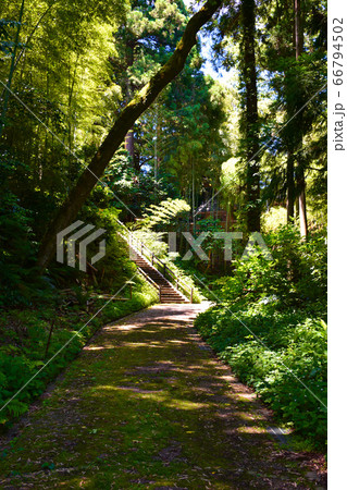 山の寺寺院群 瞑想の道 七尾市 山の寺寺院群 瞑想の道 七尾市 66794502