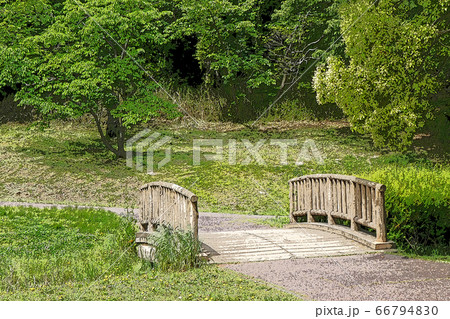牧野が池緑地・点景 牧野が池緑地・点景 66794830
