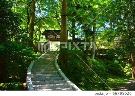 山の寺寺院群 本延寺 山門 七尾市 山の寺寺院群 本延寺 山門 七尾市 66795026
