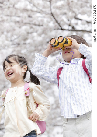 お花見する子供 66795280