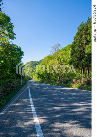 国道17号沿 新緑の景色 三国トンネル手前 新潟県側 国道17号沿 新緑の景色 三国トンネル手前 新潟県側 66795524