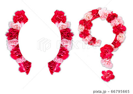 flower font for symbol bracket, question mark (collection alphabet A-Z set), made from real Carnation flowers pink, red color with paper cut shape of capital letter. flora font for text, typography flower font for symbol bracket, question mark (collection alphabet A-Z set), made from real Carnation flowers pink, red color with paper cut shape of capital letter. flora font for text, typography 66795665