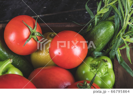 Fresh whole and half cut tomatoes with green bell pepper and rosemary leaves 66795864