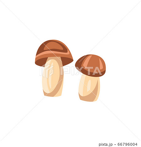Vector food mushroom allergen icon Vector food mushroom allergen icon 66796004