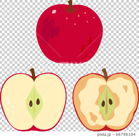 半分に切ったリンゴと断面が変色したリンゴのイラスト素材
