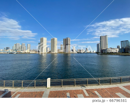 早朝の豊洲 早朝の豊洲 66796381