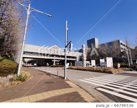 大田市場 66796536