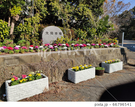 大田市場 大田市場 66796541