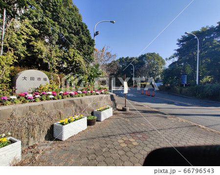 大田市場 大田市場 66796543