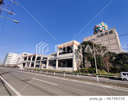 大田市場 大田市場 66796550