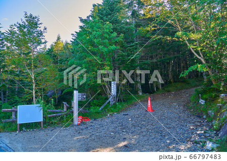 山梨の大弛峠にある国師ヶ岳への登山道（大弛小屋方面） 66797483