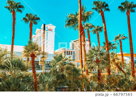 Las Vegas, Nevada, Main street of Las Vegas- is 66797565