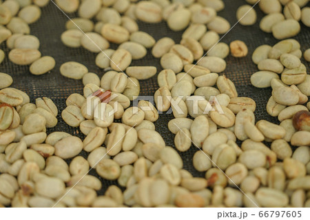 コーヒー豆 66797605