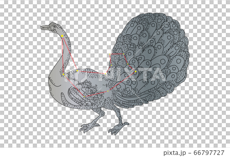 88星座影ありくじゃく座 66797727
