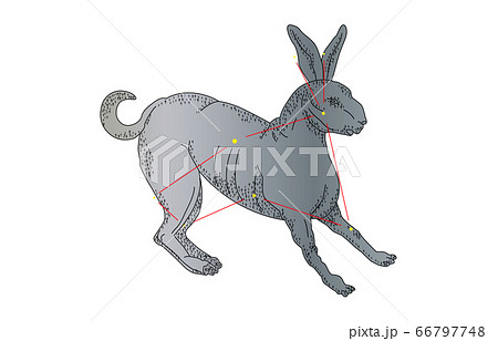 88星座影ありうさぎ座 88星座影ありうさぎ座 66797748