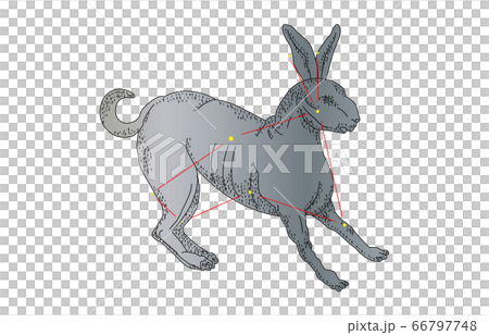 88星座影ありうさぎ座 88星座影ありうさぎ座 66797748