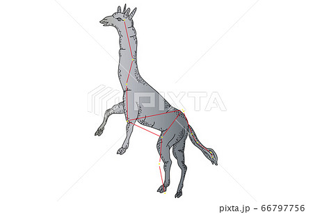 88星座影ありきりん座 88星座影ありきりん座 66797756