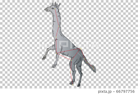 88星座影ありきりん座 88星座影ありきりん座 66797756