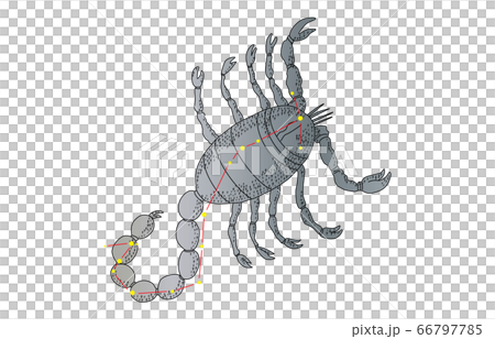 88星座影ありさそり座 66797785