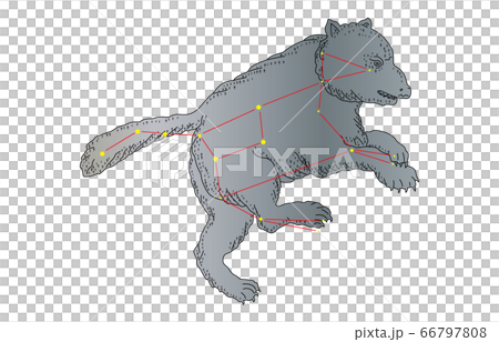 88星座與影子大熊座 66797808