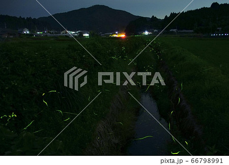 ほたるの里　和歌山県伊都郡かつらぎ町　天野 66798991